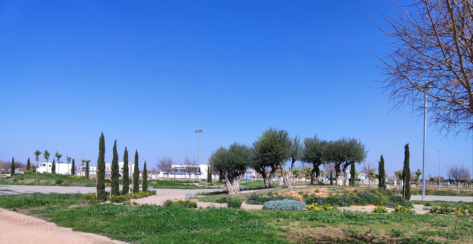APARTAMENTOS DE OBRA NUEVA EN TORRE-PACHECO Complejo residencial de apartamentos de obra nueva en Torre Pacheco (Murcia) en el corazón de la Costa Cálida. La segunda fase cuenta con 25 apartament...