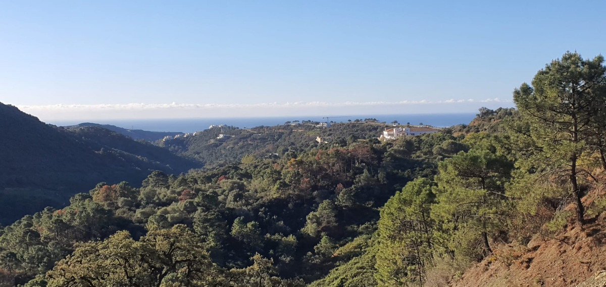 Imagen de Espectacular villa en Benahavís