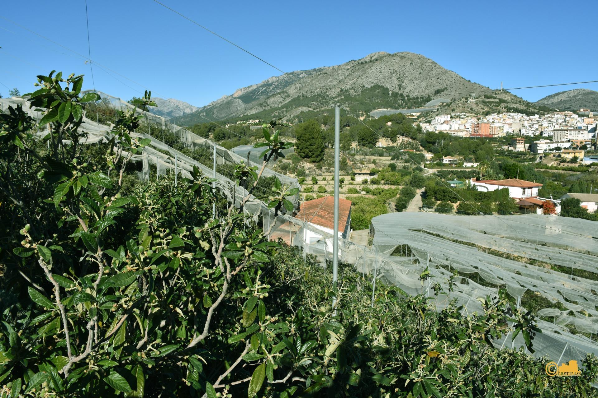 Gran Finca Rústica con Vistas a la Montaña en Callosa d'en Sarrià