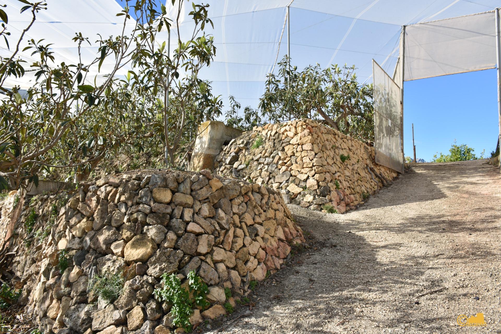 Gran Finca Rústica con Vistas a la Montaña en Callosa d'en Sarrià