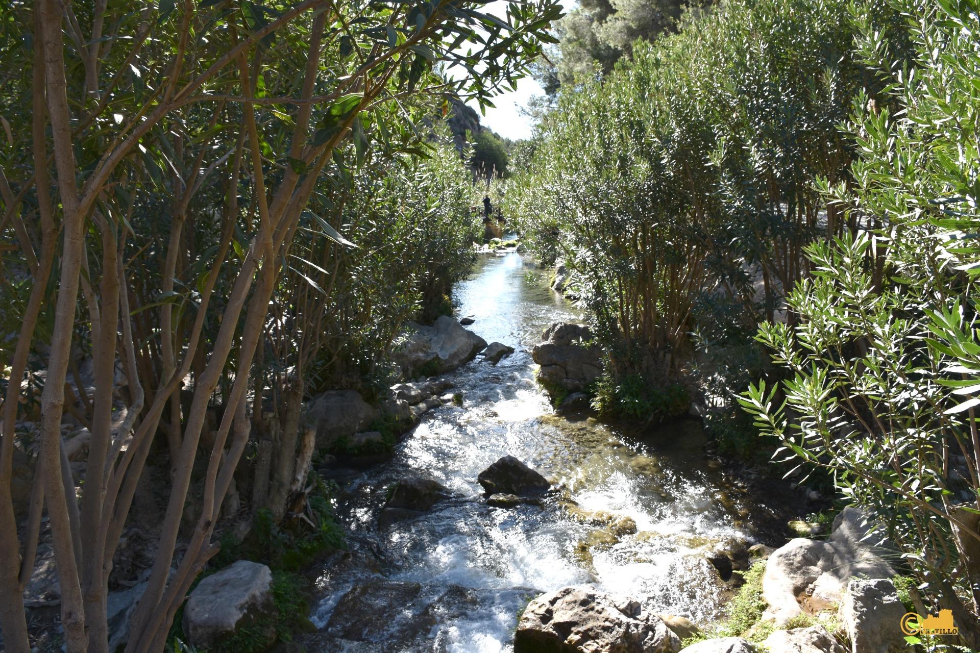 Gran Finca Rústica con Vistas a la Montaña en Callosa d'en Sarrià