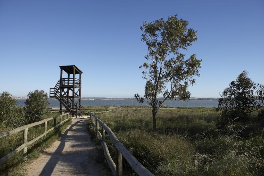 Ático en Venta en San Miguel de Salinas