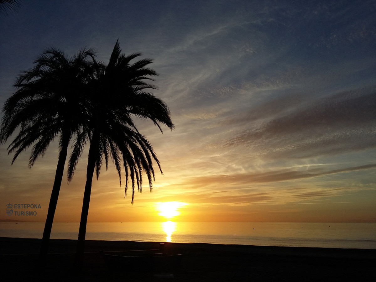 Estepona: Lujo, Golf y Vistas Panorámicas, Descubre apartamentos de lujo de 2 y 3 dormitorios en Estepona Golf. Vistas al mar/golf, piscina, jardines y acabados premium. Tu hogar ideal en la Costa del So