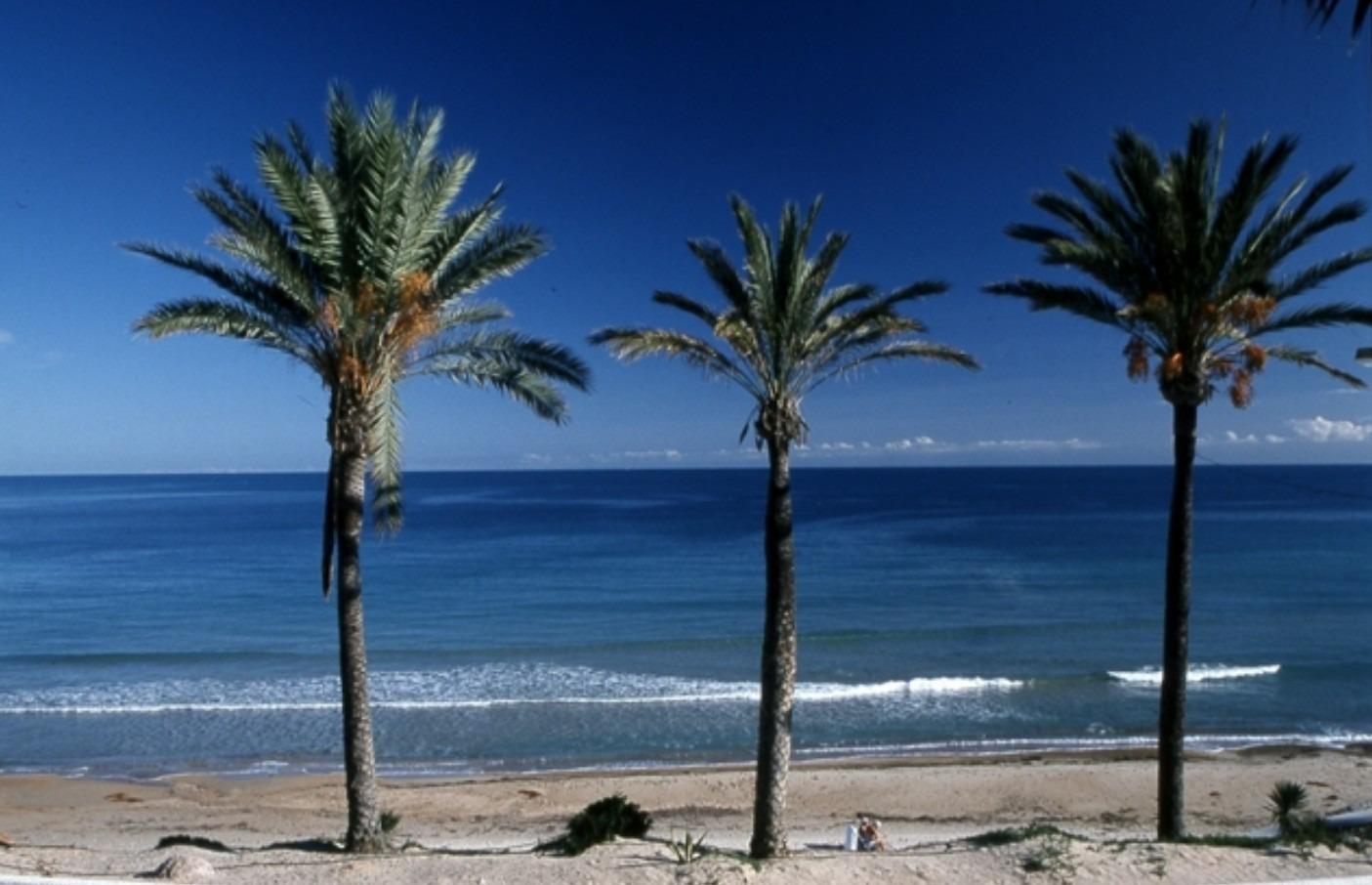 Tu Oasis en Pilar de la Horadada, Bungalows obra nueva en Pilar de la Horadada, Costa Blanca Sur. Diseño moderno, 2 hab, 2 baños. Cerca de playas y servicios. ¡Tu hogar ideal!