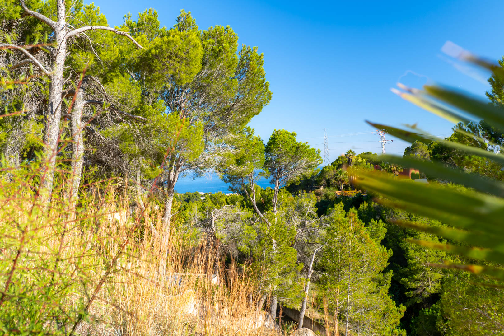 Parcela Exclusiva en Altea: Vistas al Mar, Gran Potencial, Parcela excepcional en Altea, Alicante. Construya la casa de sus sueños con vistas panorámicas al Mediterráneo. Inversión única en Costa Blanca por 179.000€. ¡S