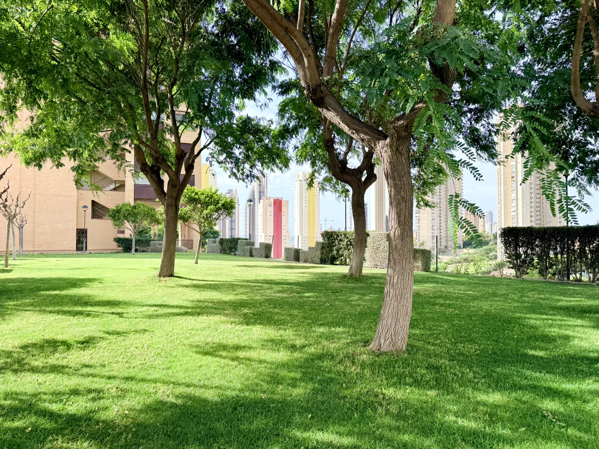 Vistas Espectaculares Benidorm: Apartamento Exclusivo en Poniente, Apartamento de lujo en planta 19, Playa Poniente, Benidorm. Vistas panorámicas al mar. 2 dorm, 2 baños, garaje. Urbanización con piscina, gimnasio. A 6 min de l