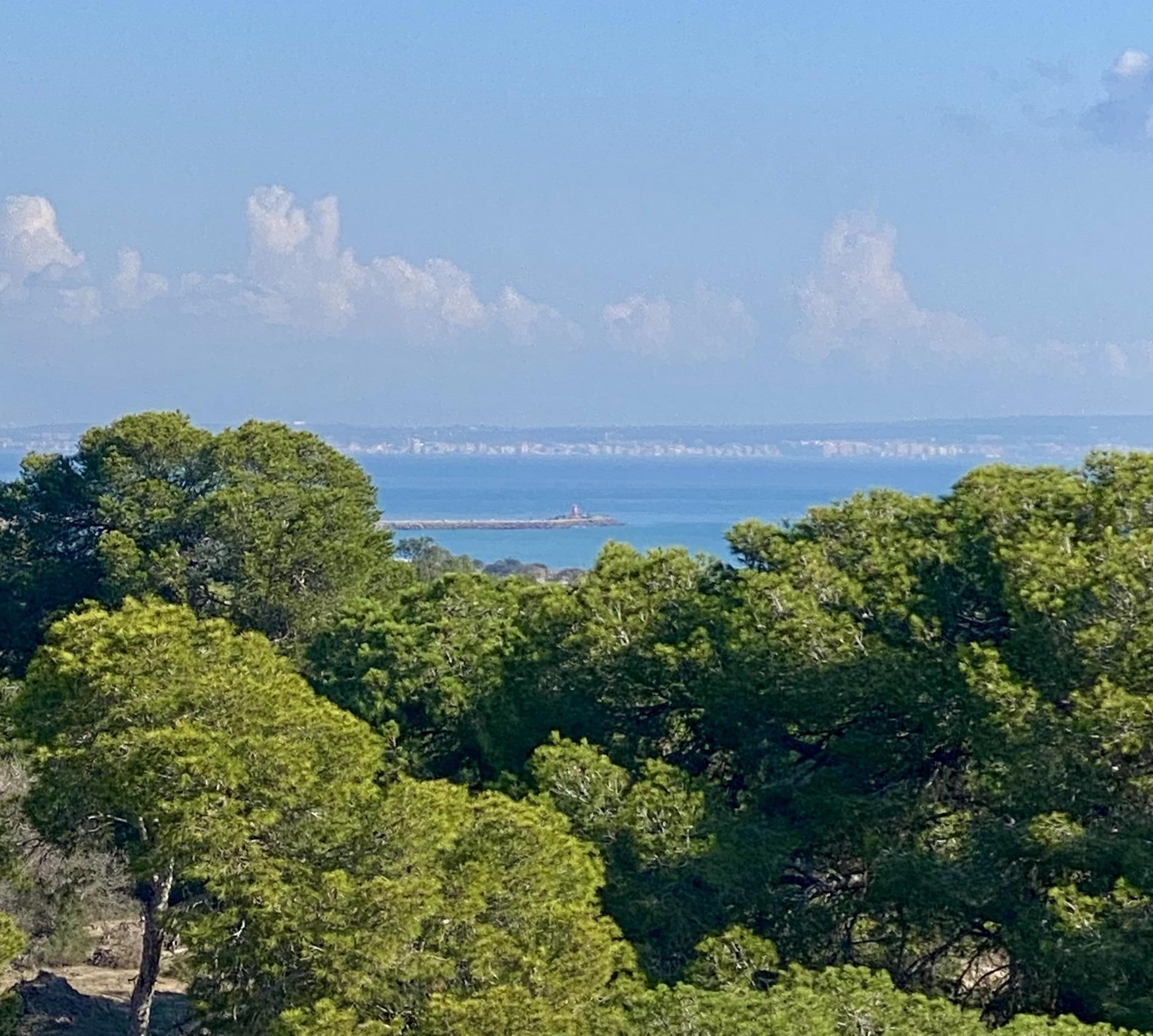 Ático de Lujo en Guardamar: Vistas, Exclusividad y Playa, Descubre ático de lujo a estrenar en Guardamar del Segura, Costa Blanca. Complejo boutique con privacidad, a 700m de la playa. 2 hab, terrazas, acabados premium