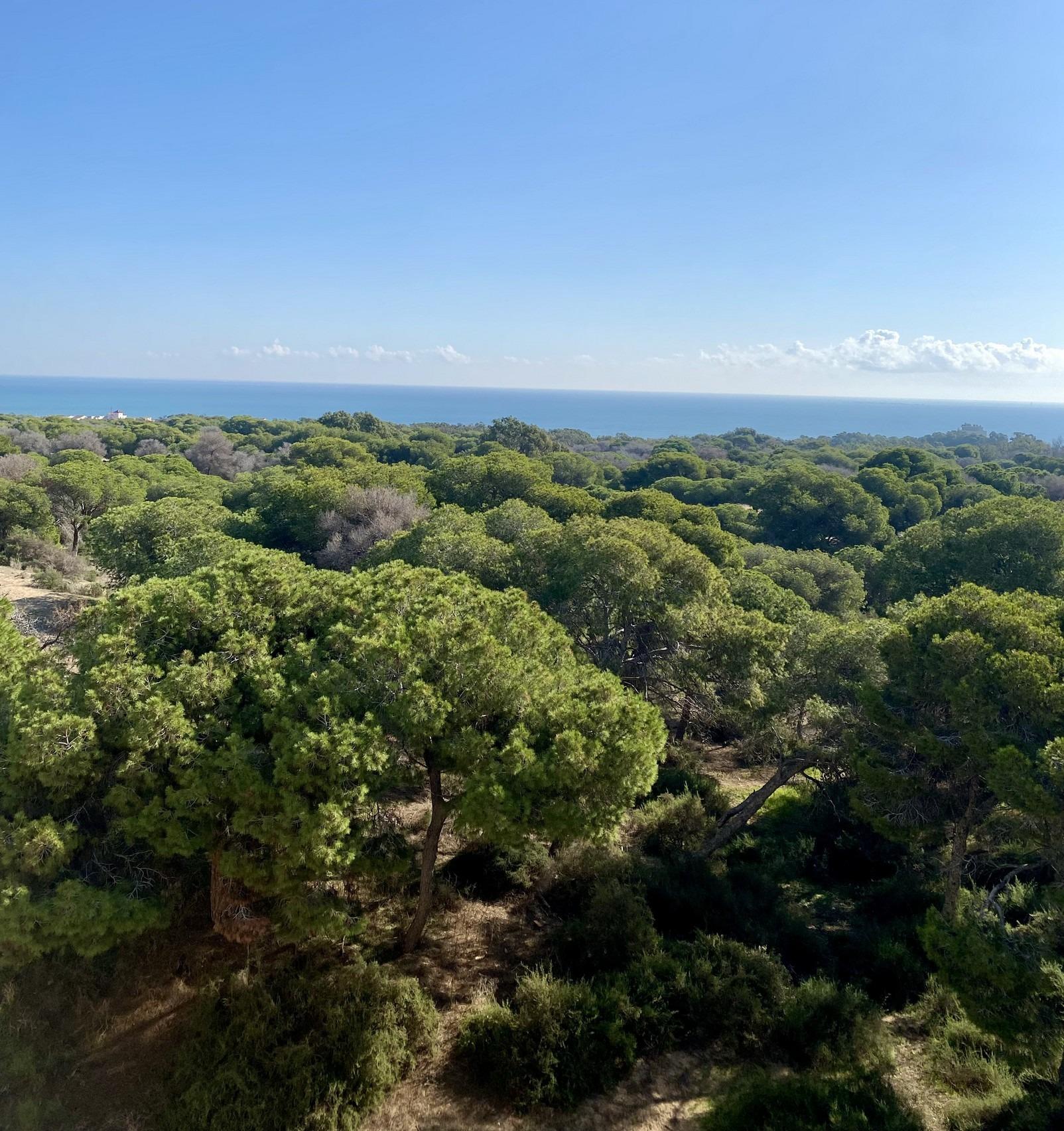 Lujo y Exclusividad: Apartamentos Nuevos en Guardamar del Segura, Lujo exclusivo en Guardamar del Segura. 10 apartamentos de nueva construcción a 700m de la playa, frente al pinar. 2 hab, 2 baños. Calidad premium. Desde 349.00