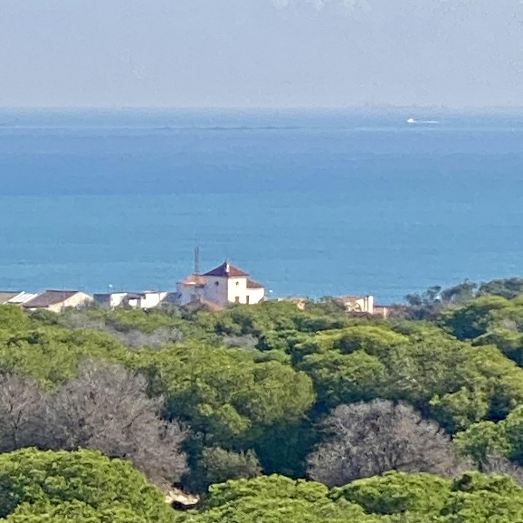 Lujo y Exclusividad: Apartamentos Nuevos en Guardamar del Segura, Lujo exclusivo en Guardamar del Segura. 10 apartamentos de nueva construcción a 700m de la playa, frente al pinar. 2 hab, 2 baños. Calidad premium. Desde 349.00